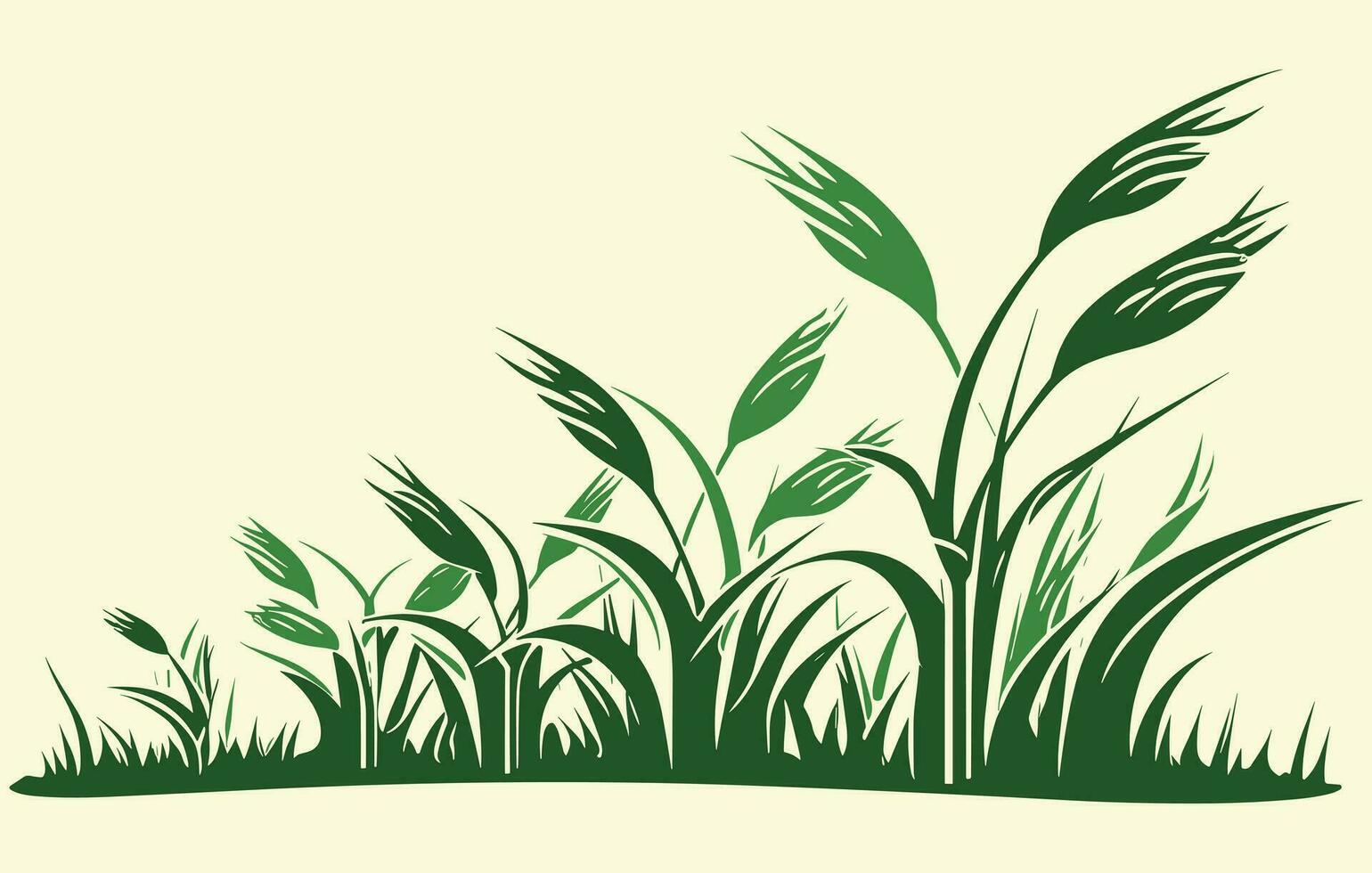 Corn plantation. Vector illustration of sweet corn sprouting in field