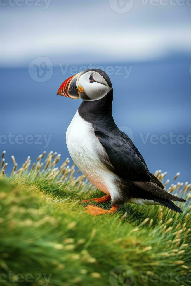 AI generated Puffin bird on a green grass patch. AI Generated photo