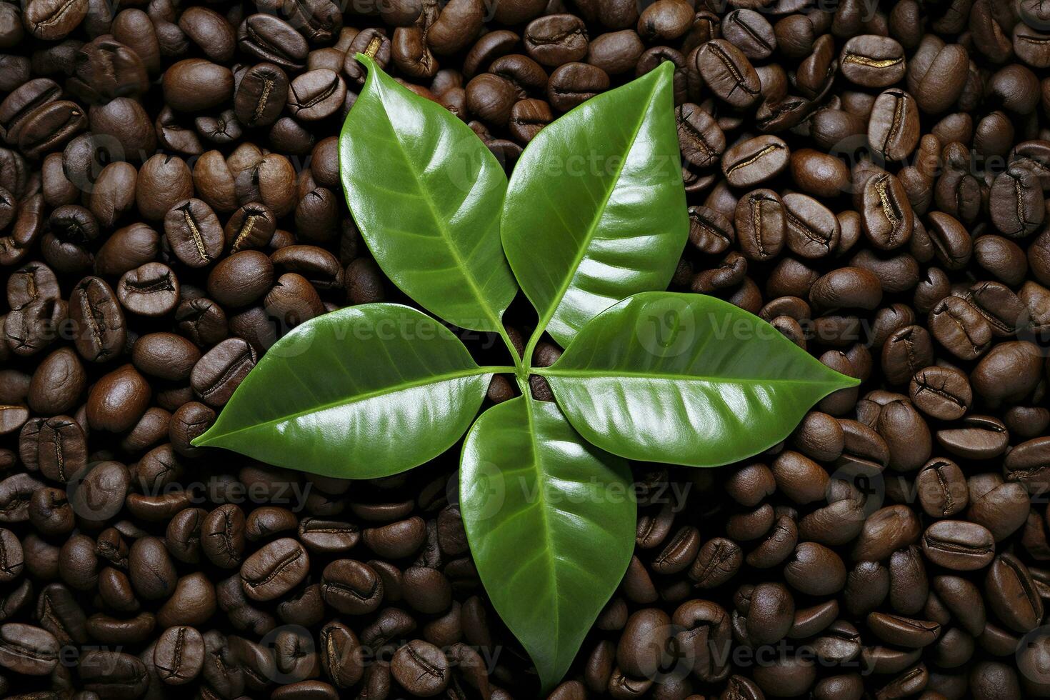 AI generated Green leaves with coffee beans as background. AI Generated photo