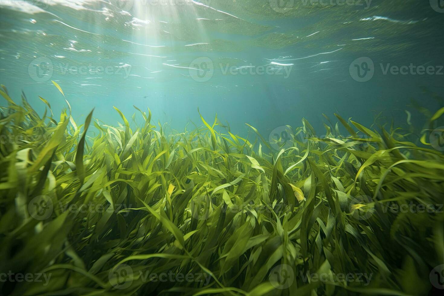 AI generated Underwater view of a group of seabed with green seagrass. AI Generated photo