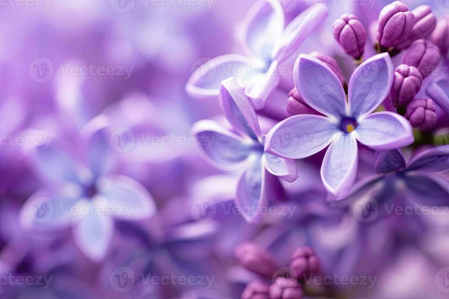 AI generated Lilac blossom macro background with copy space. AI Generated photo