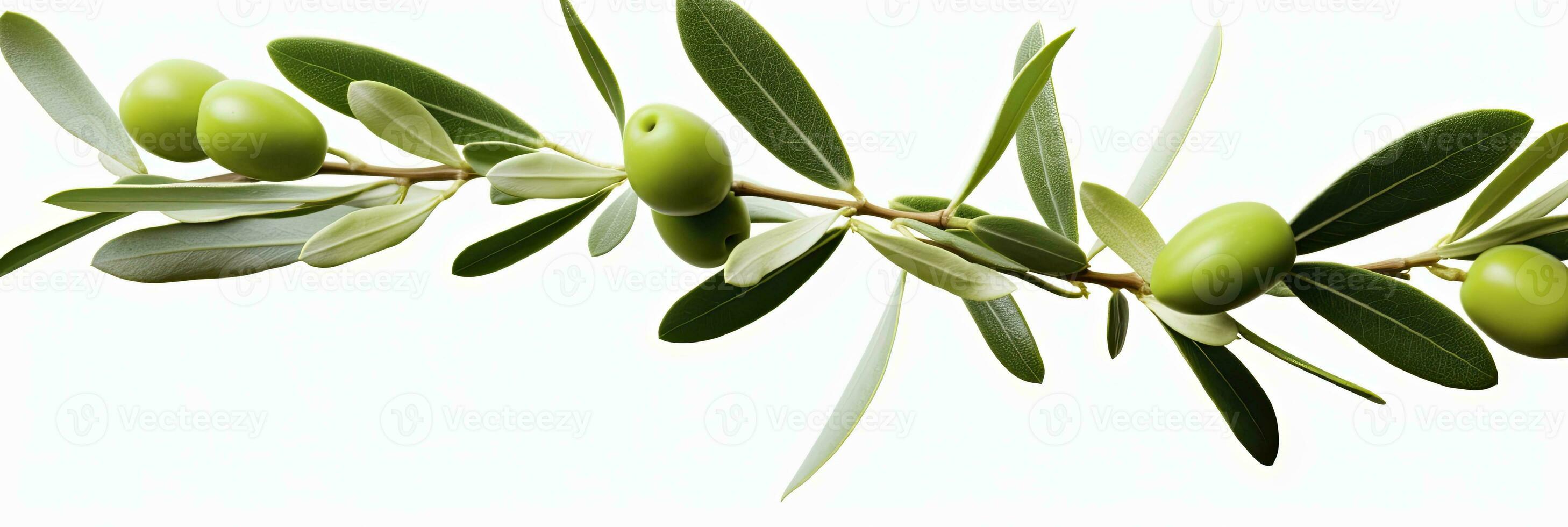 AI generated Olive tree branch, green olives and leaves on white background. AI Generated. photo