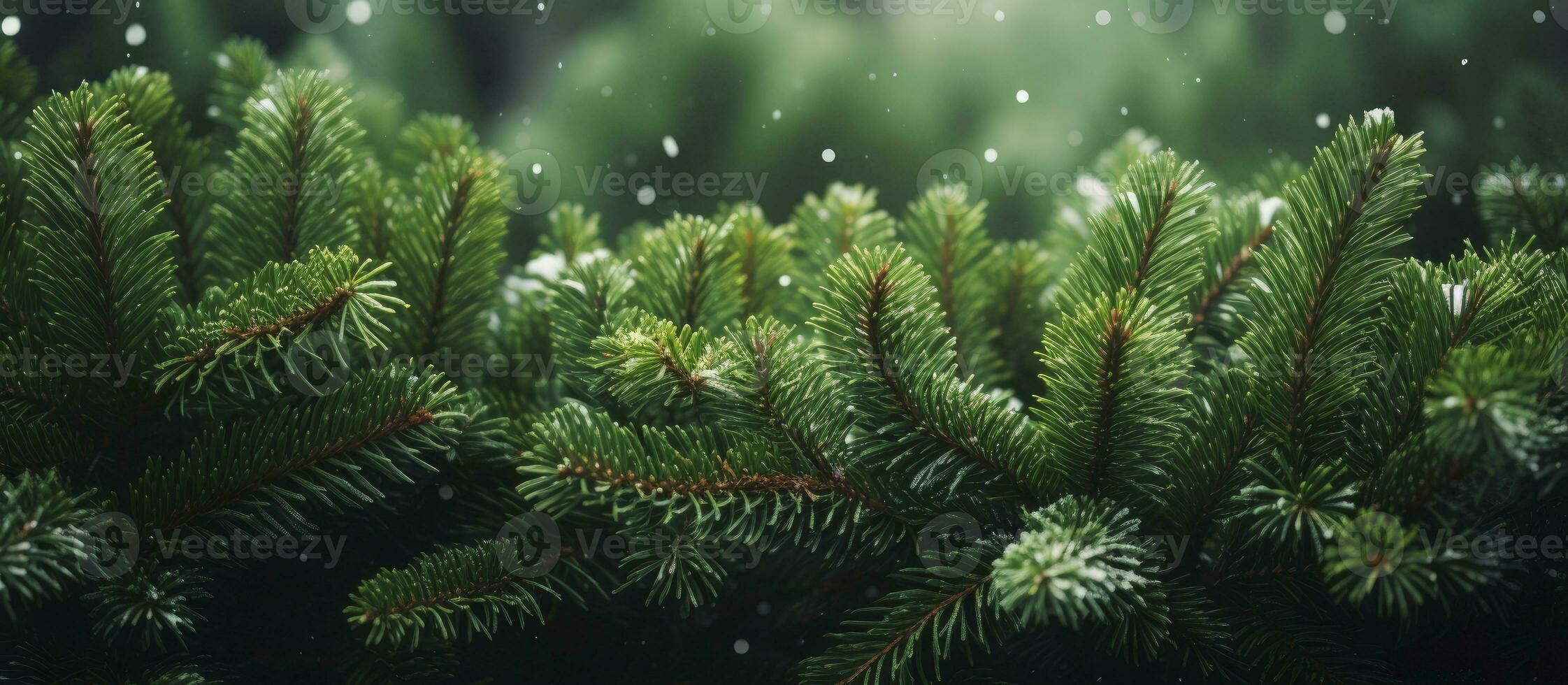 AI generated Christmas tree branches on a natural background. AI Generated photo