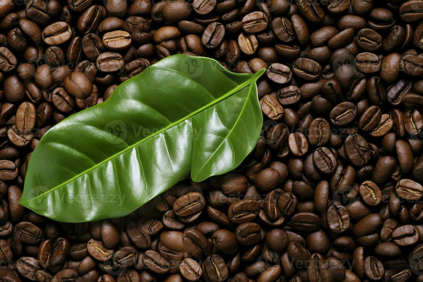 AI generated Green leaves with coffee beans as background. AI Generated photo