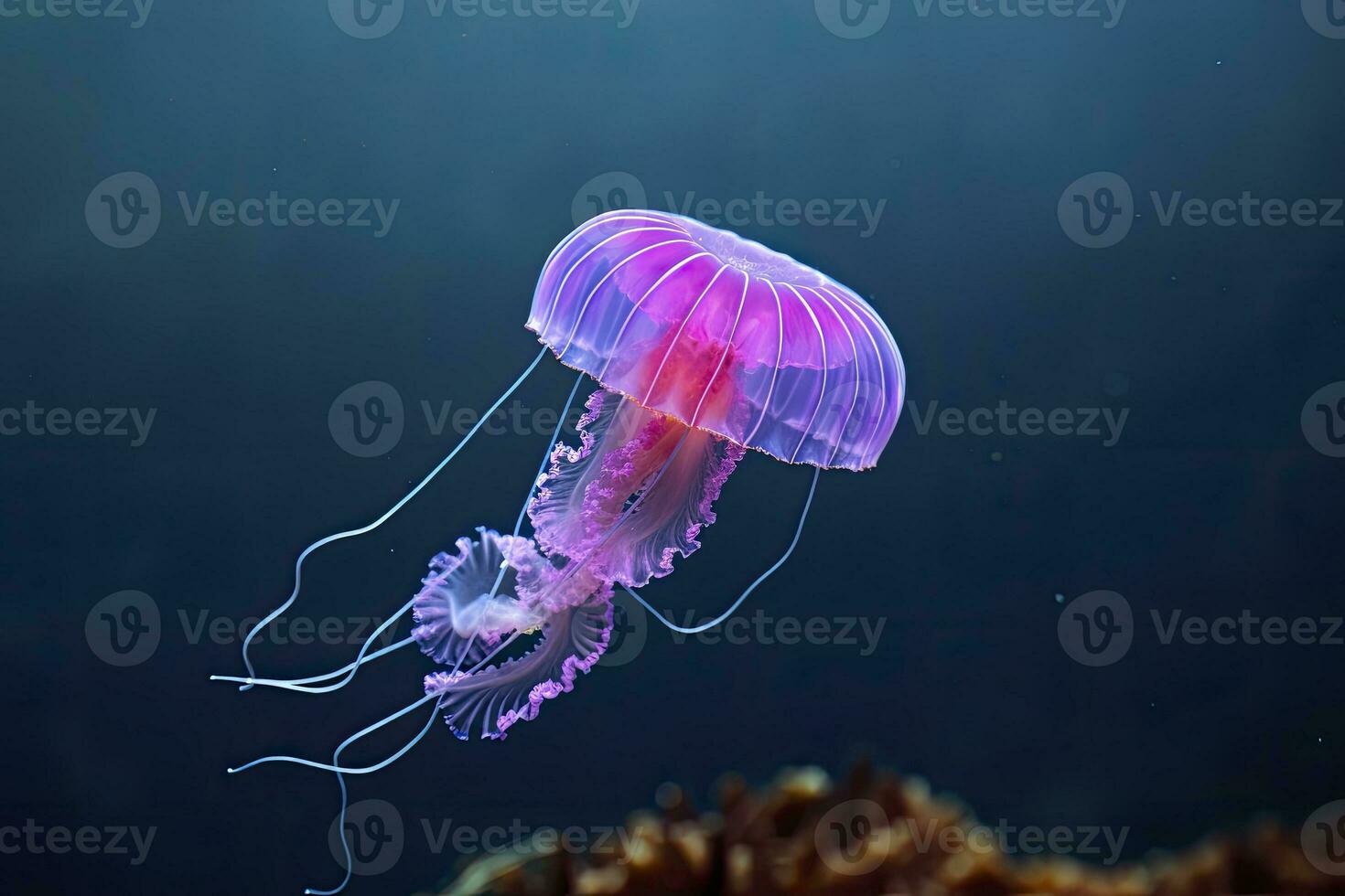 AI generated Mauve stinger purple jellyfish. AI Generated. photo