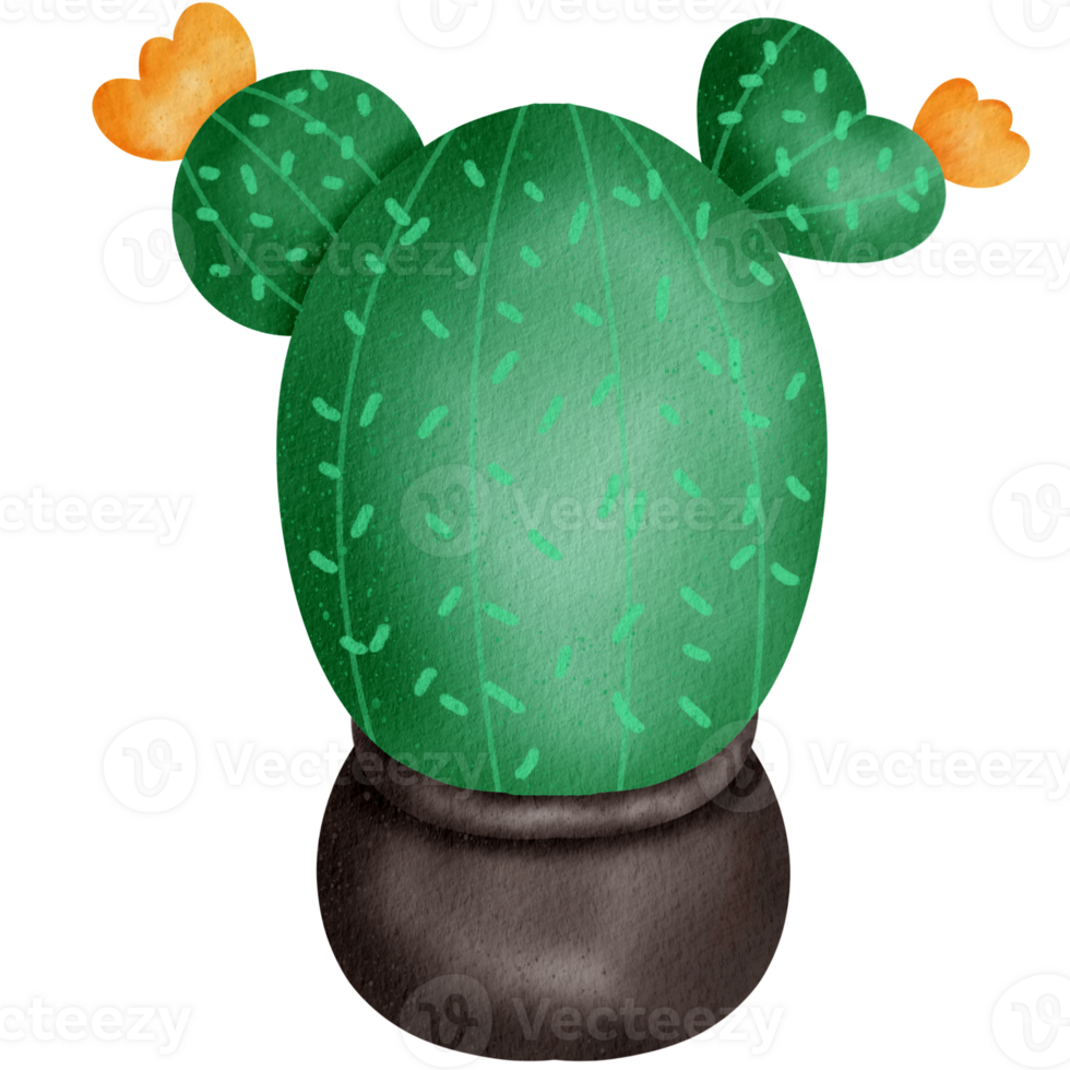Cactus watercolor Clipart png