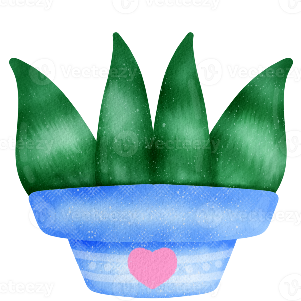 cactus aquarelle clipart png