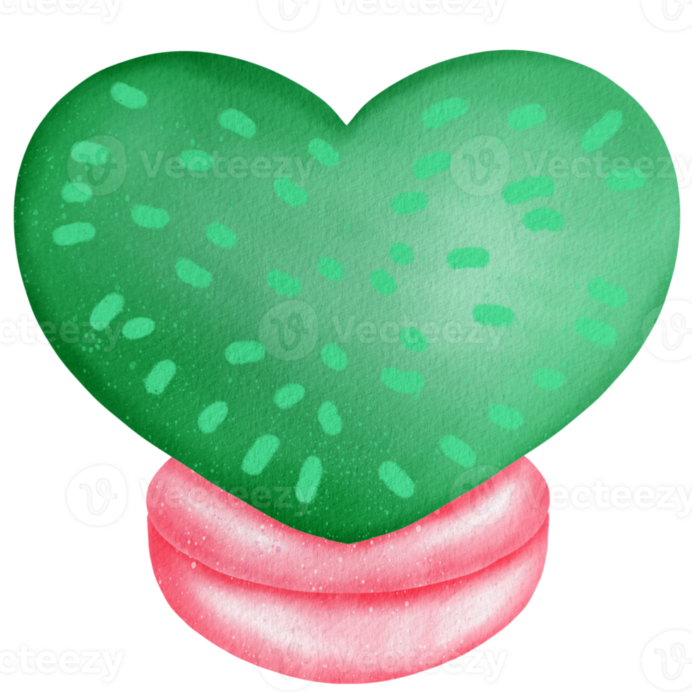 Cactus watercolor Clipart png