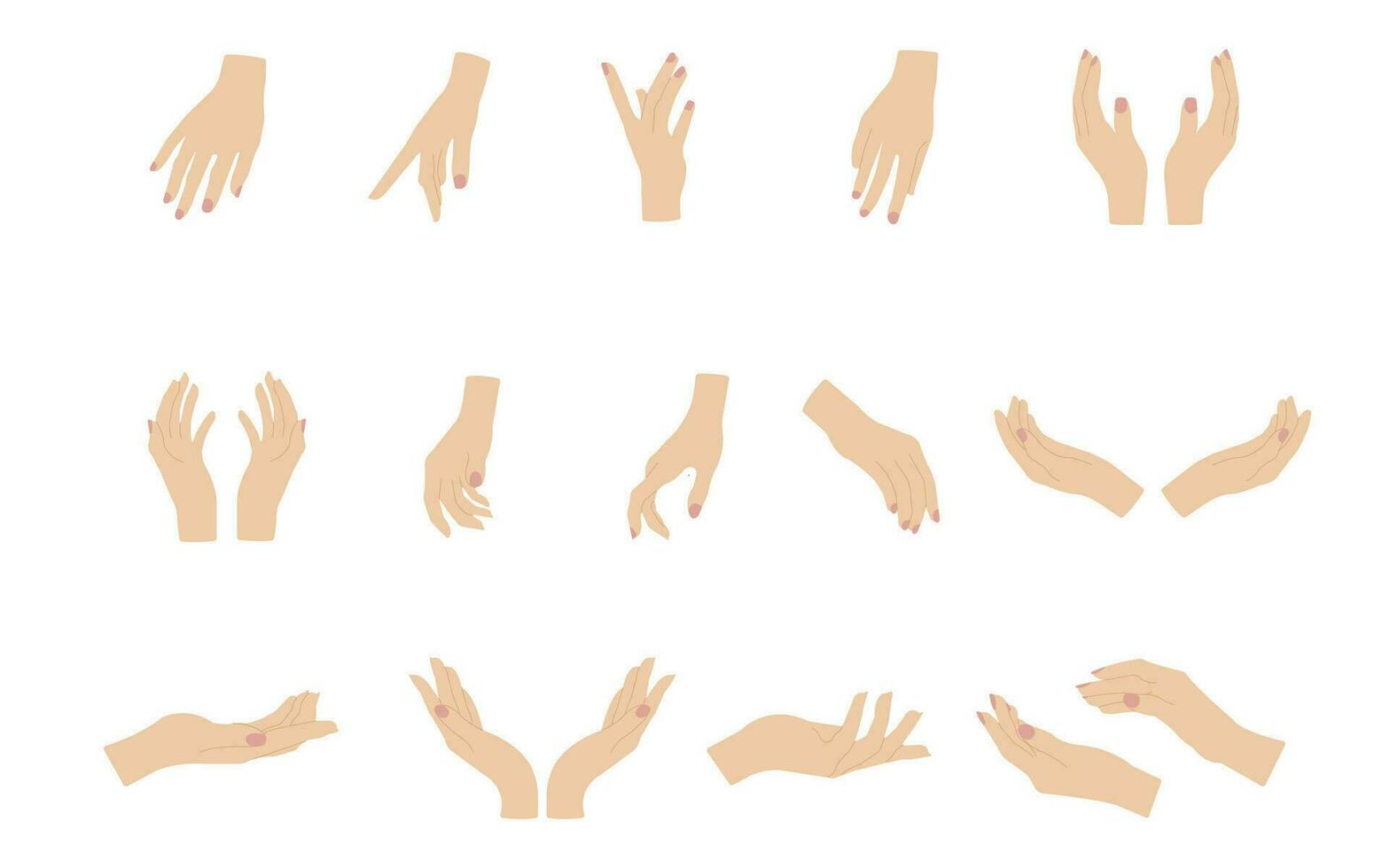 Hands poses. Set of different female hands poses. vector