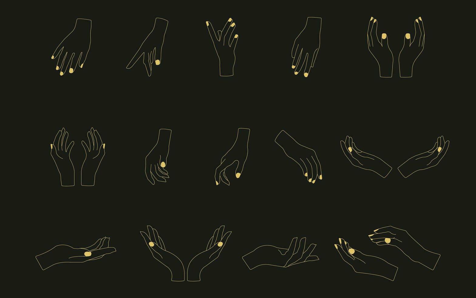 Hands poses. Set of different female hands poses. vector