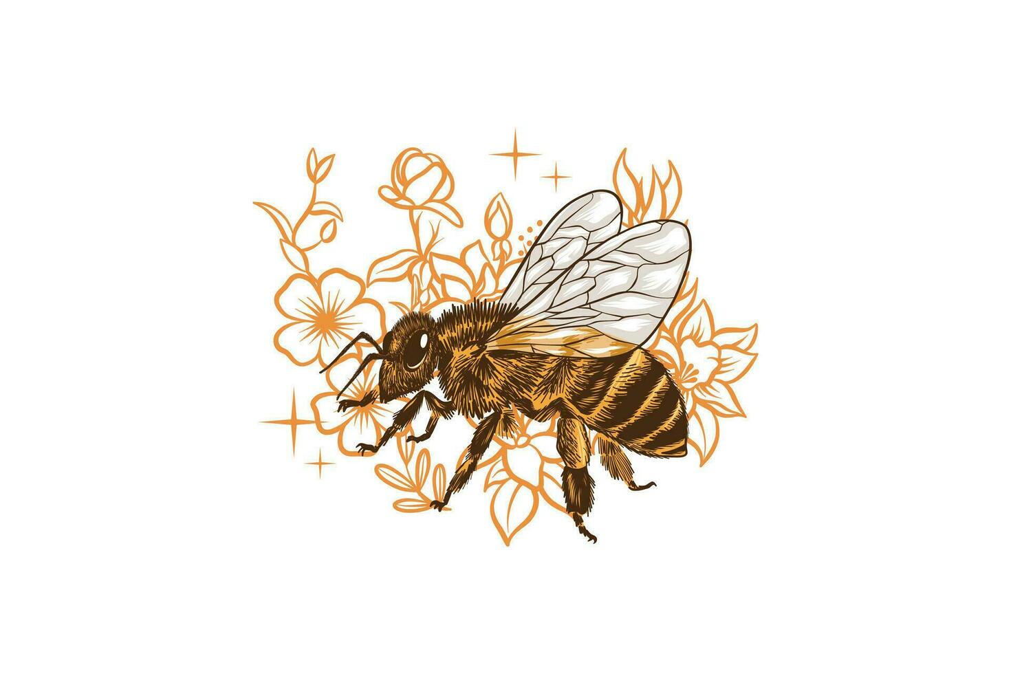 bee and flower vector illustration with color