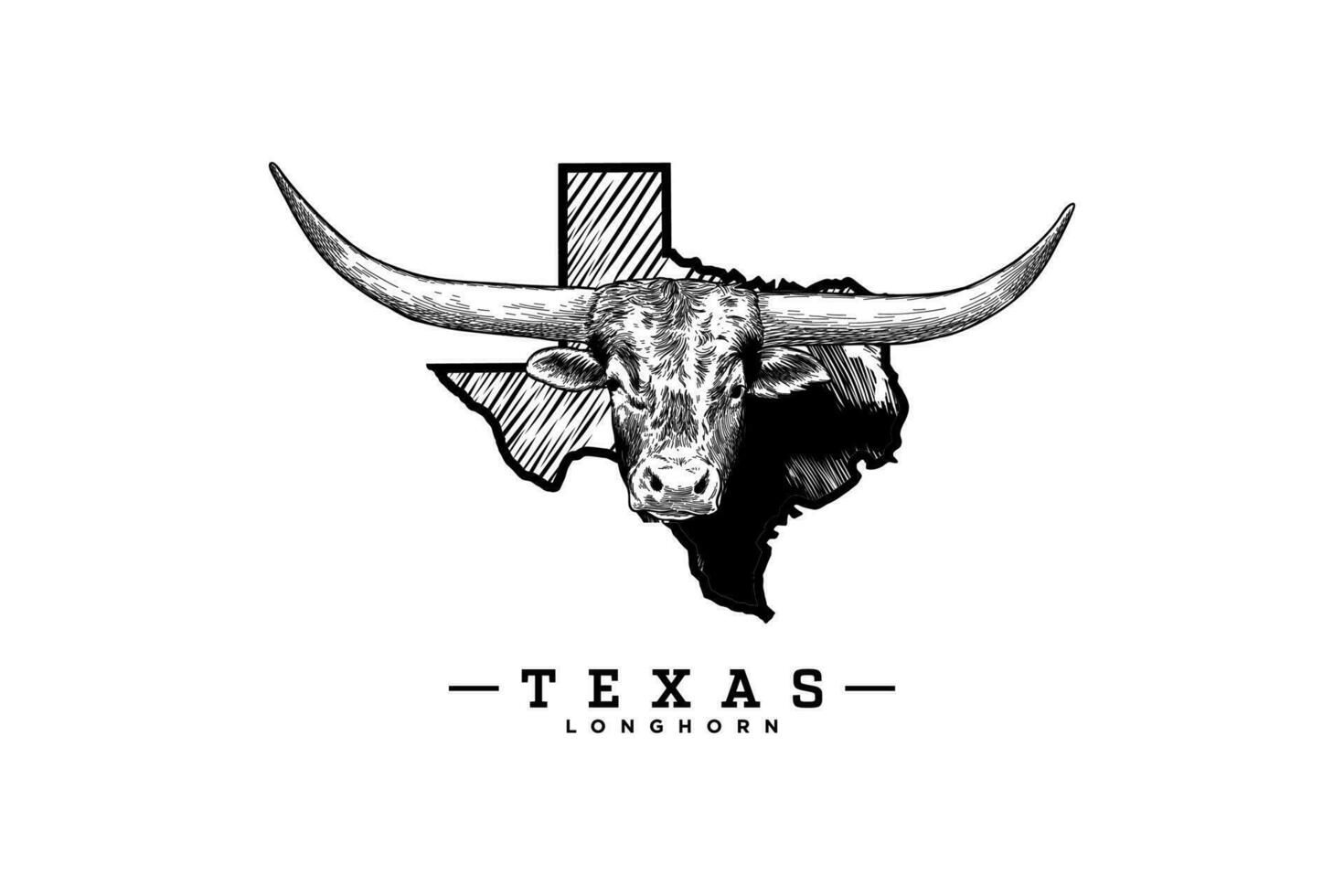 Texas longhorn vector illustration with map
