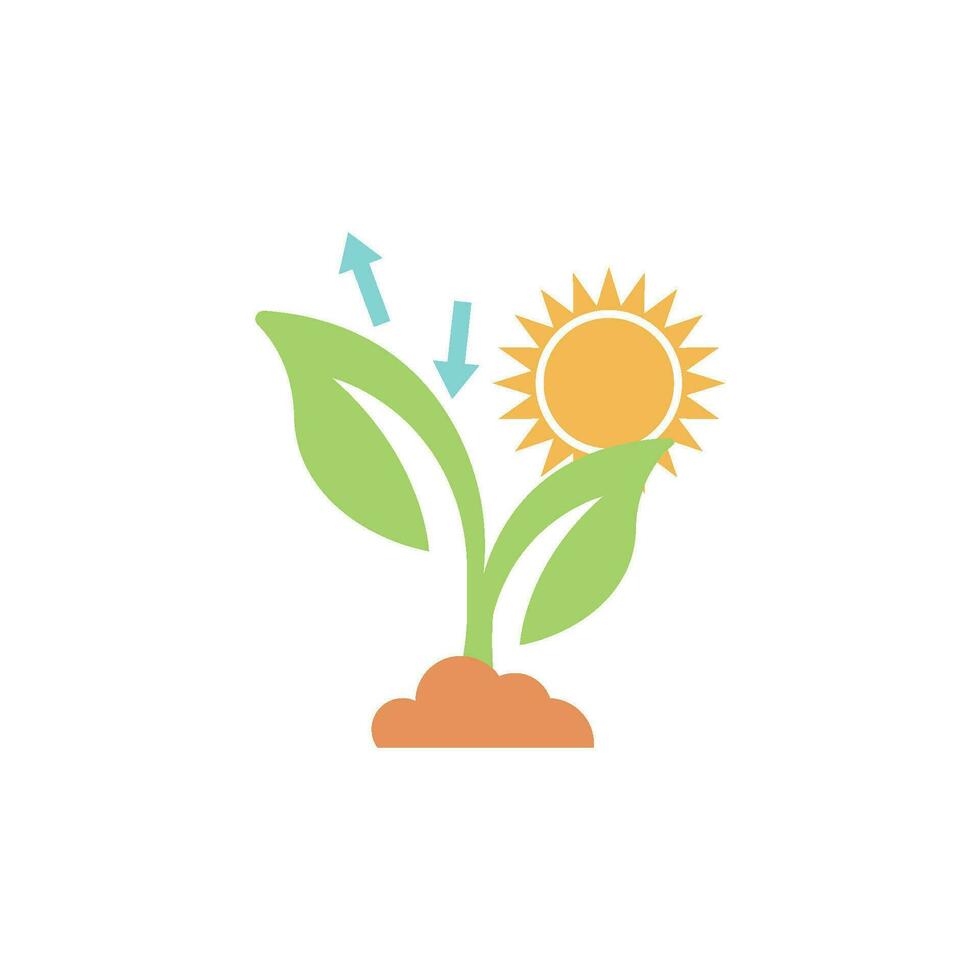 photosynthesis icon vector