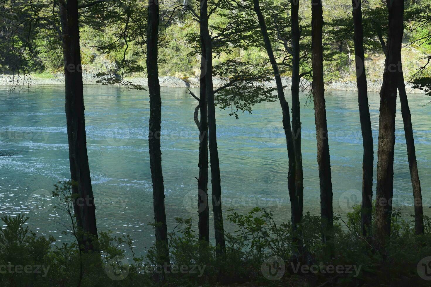 Baker River, Puerto Bertrand, Cochrane, Aysen Region, Patagonia, Chile photo