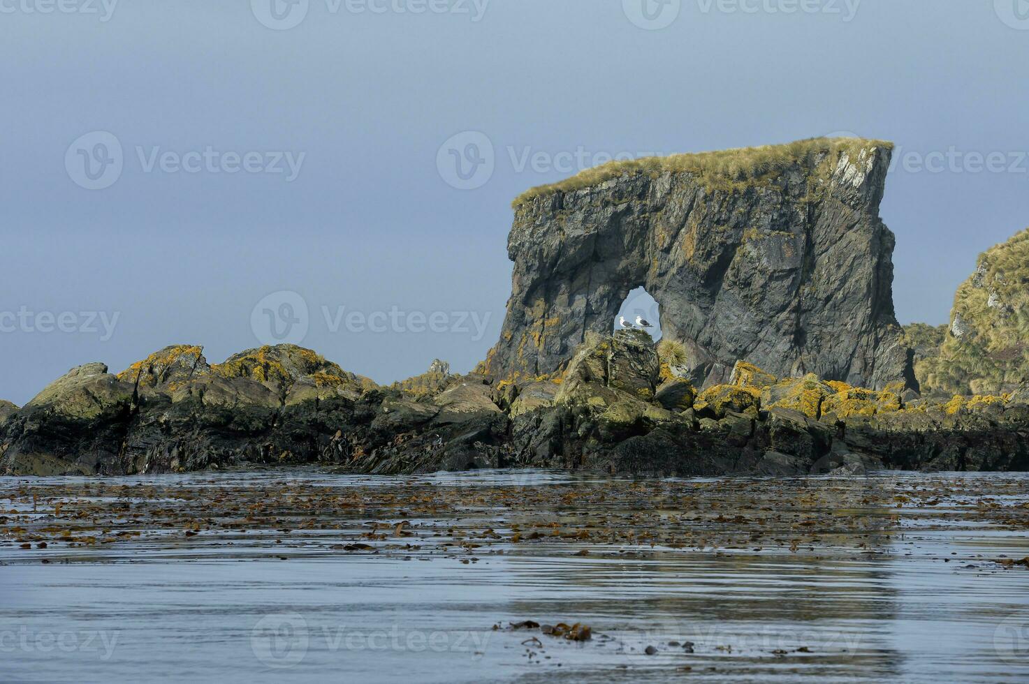 Undine Harbour, Rock formation, South Georgia, South Georgia and the Sandwich Islands, Antarctica photo