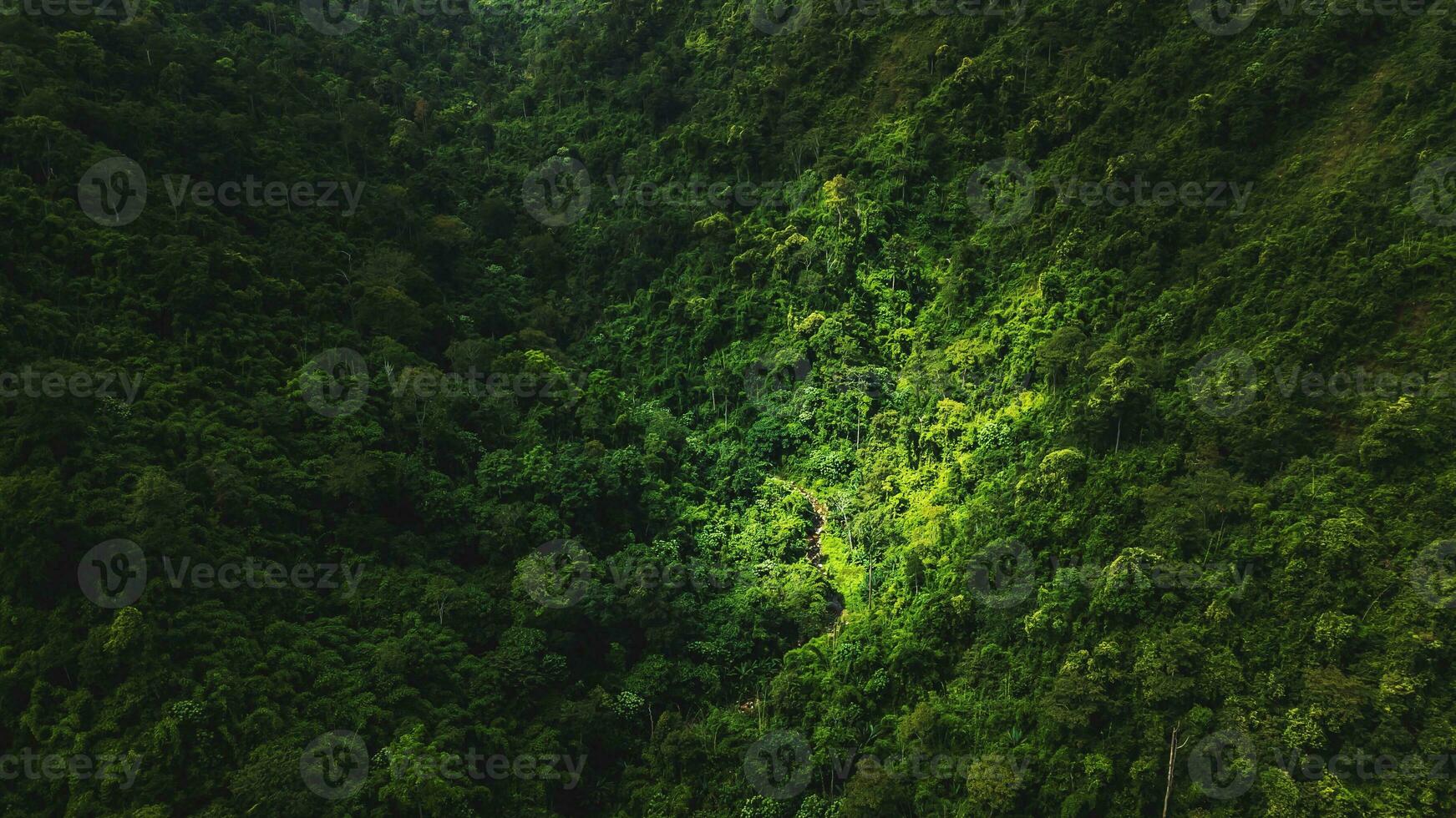 High angle view Aerial photograph of forest photo