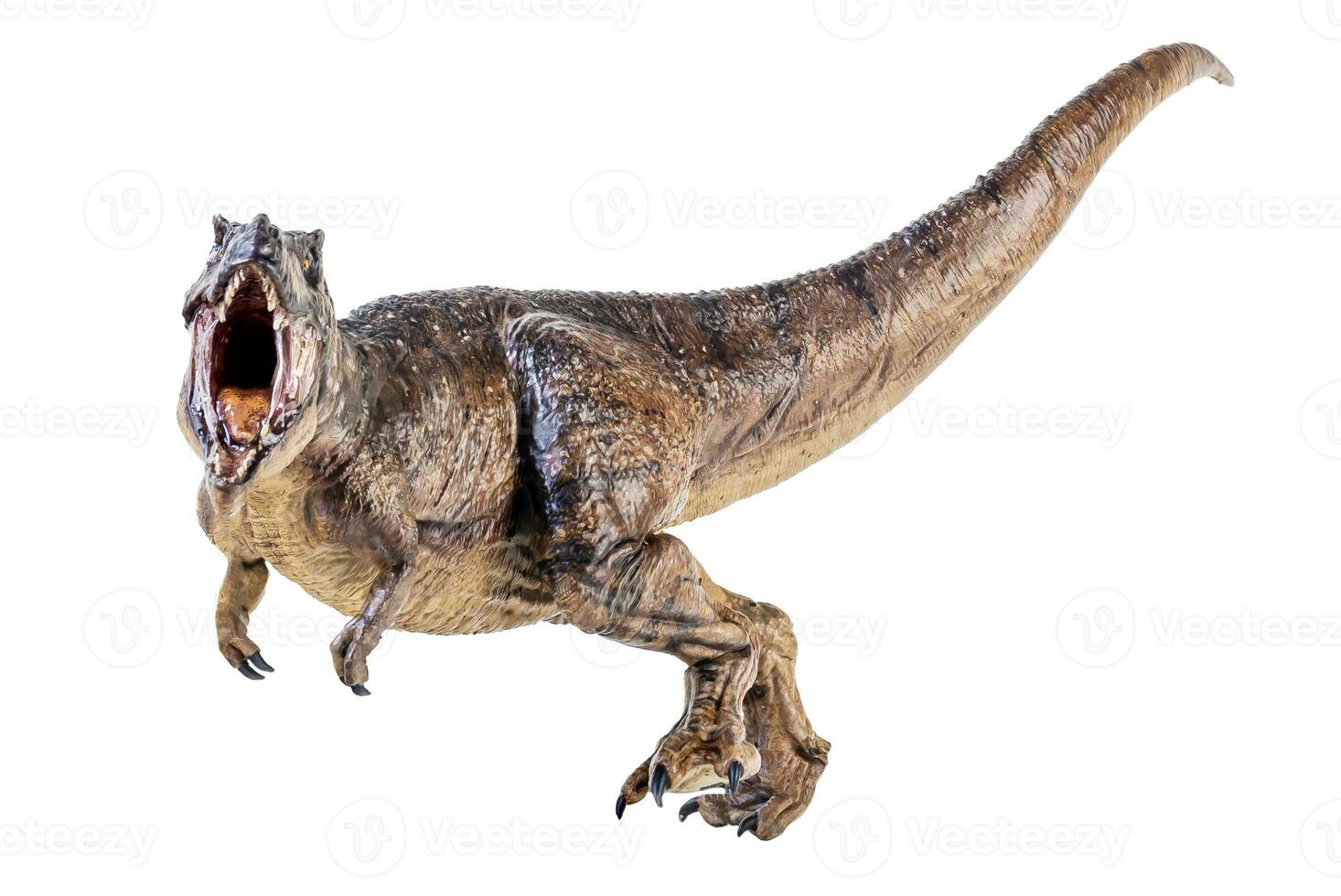 Trex Tyrannosaurus dinosaur on isolated background photo