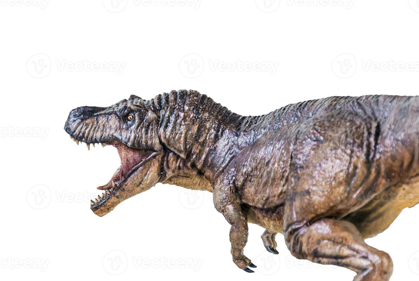 Trex Tyrannosaurus dinosaur on isolated background photo