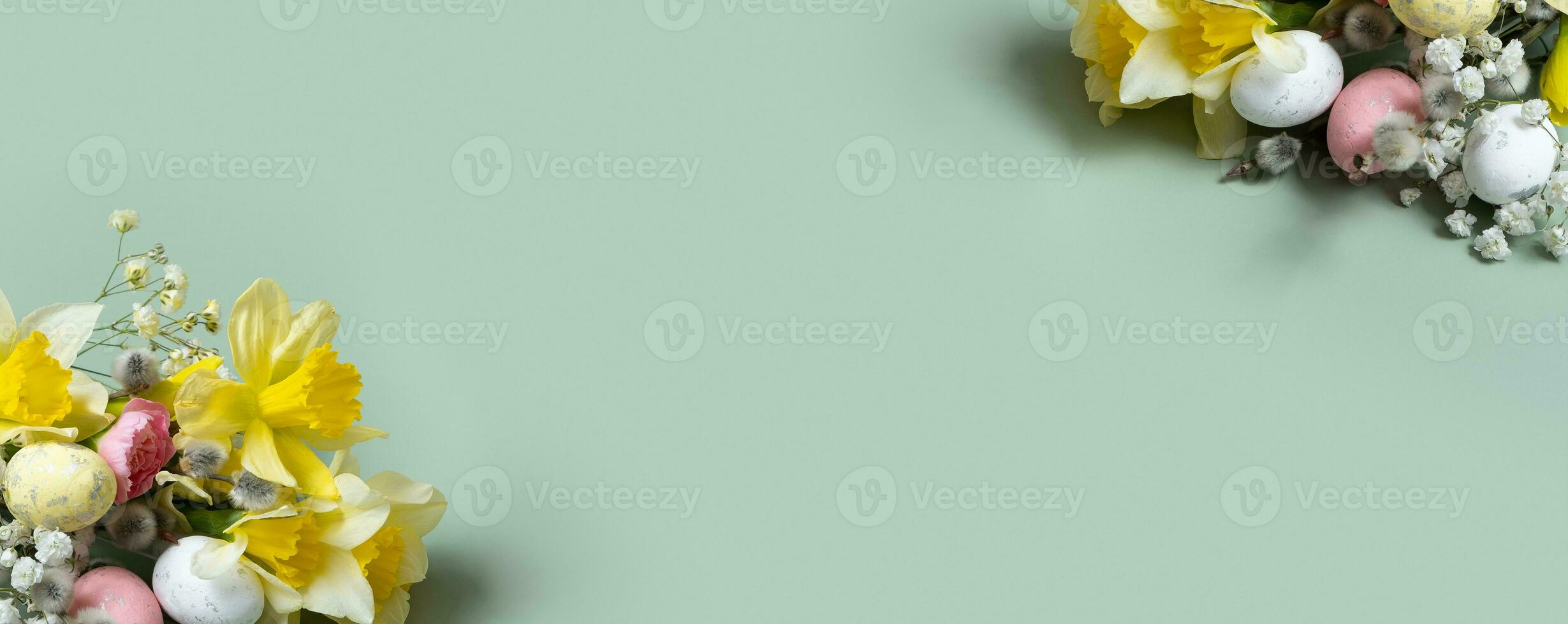 Daffodils, easter eggs and willow on green background with copy space. Easter greeting banner template photo