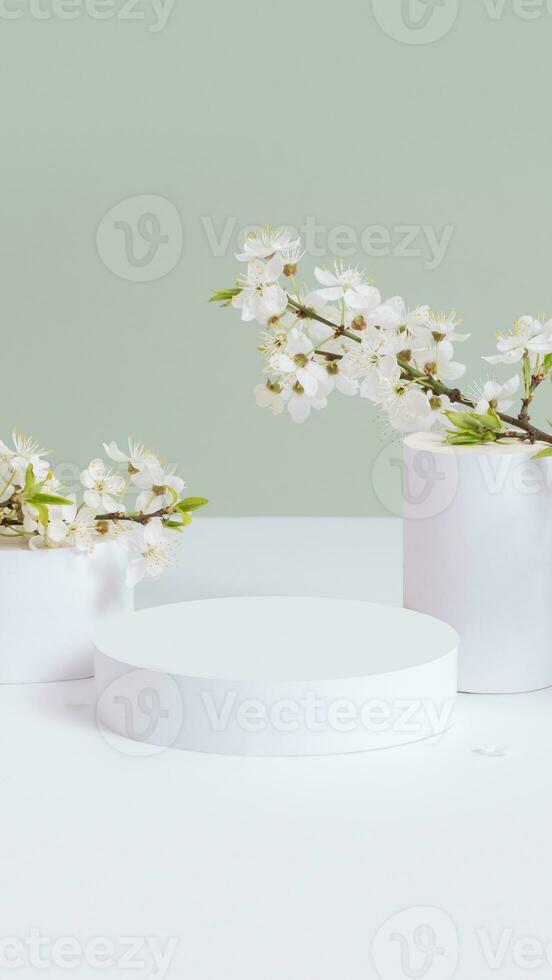 Empty podium or pedestal with spring bloom. Spring mock up for cosmetic products photo