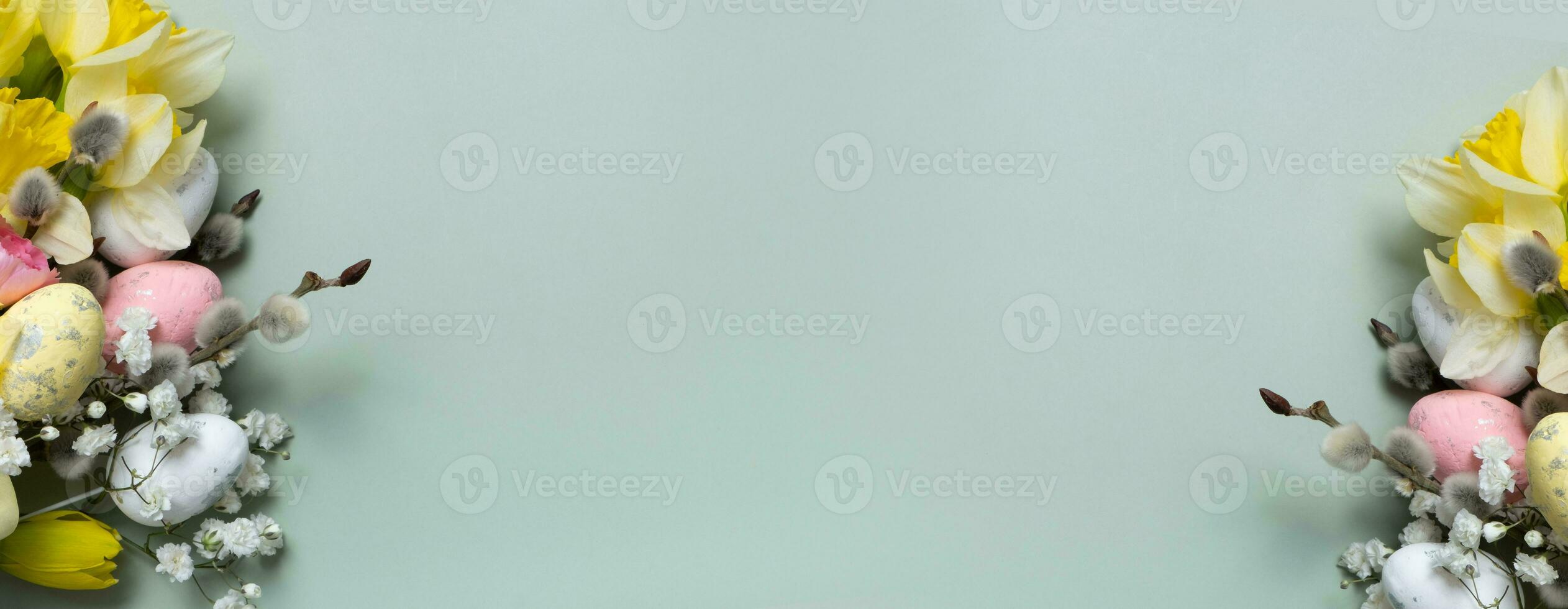 Daffodils, easter eggs and willow on green background with copy space. Easter greeting card template banner format photo