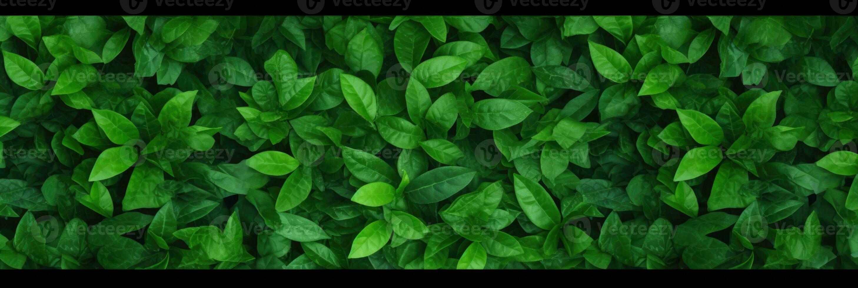 AI generated Green Leaves background panorama view photo