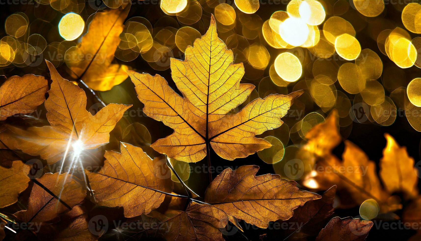 AI Generated close up of colorful autumn leaves illuminated by sunlight from behind photo