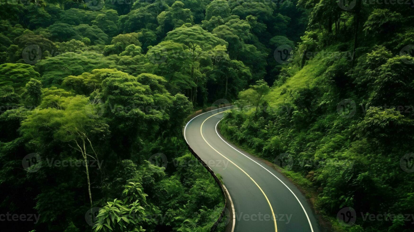 AI generated an asphalt road leads through the middle of a dense and wild green jungle photo