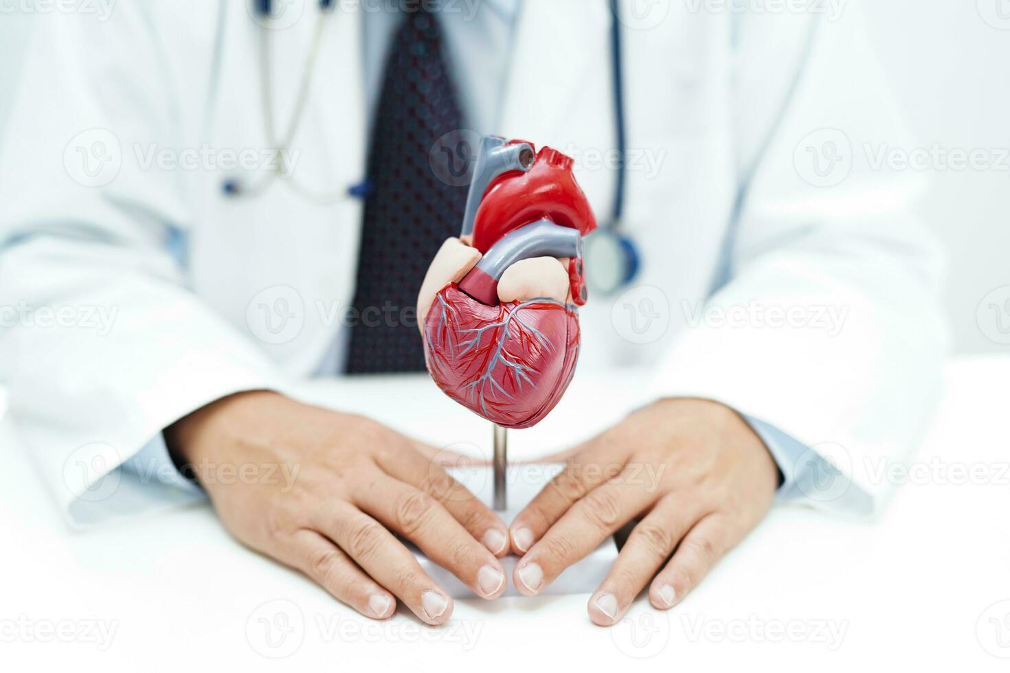 cardiovascular enfermedad CVD, médico con corazón humano modelo anatomía para tratamiento paciente en hospital. foto