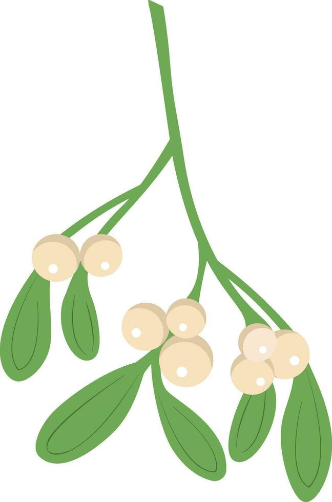 Branch of mistletoe with berries and red bow. A bouquet of Christmas. vector