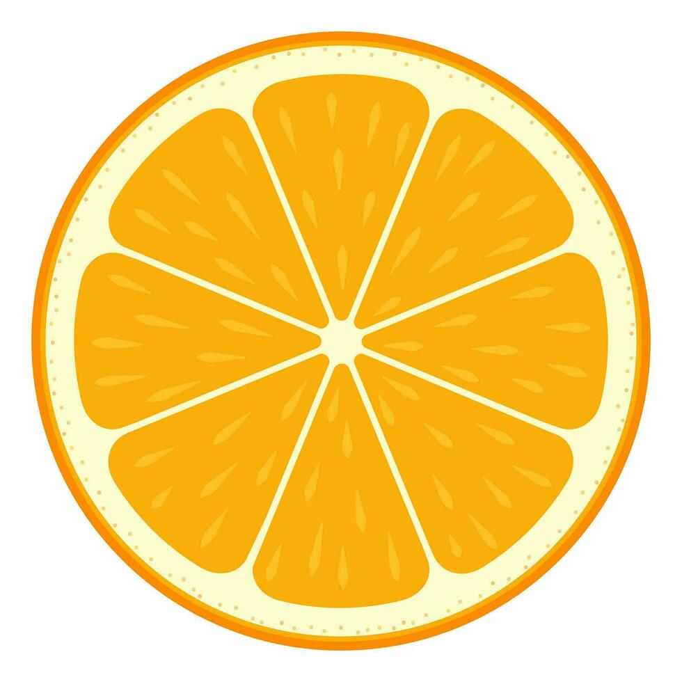 Orange slice. Citrus slice. vector