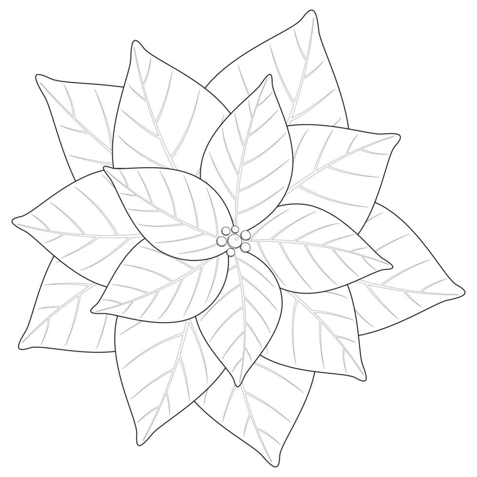 ilustración de dibujado a mano flor de pascua, vector material.