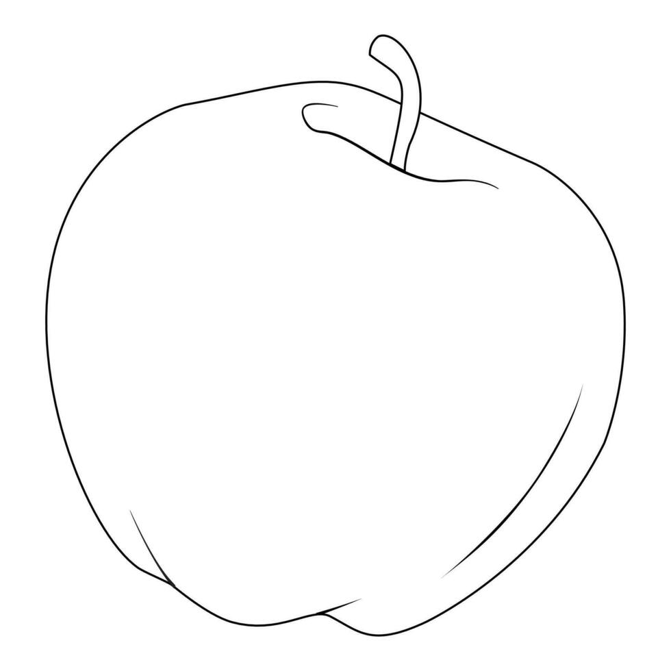 Apples line drawn on a white background. Vector sketch of the fruit.