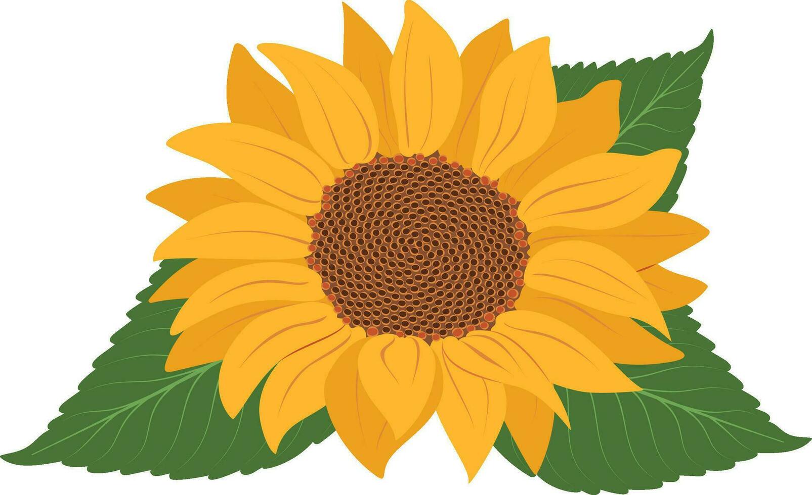 Sunflower icon isolated on Transparent background vector illustration. Cute hand drawn flower.