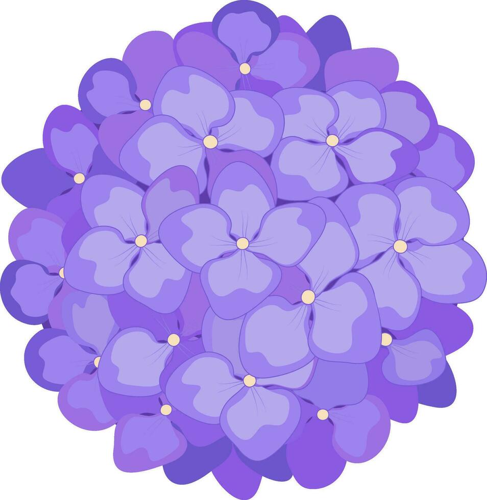 Hydrangea flowers. Vector stock illustration eps10.