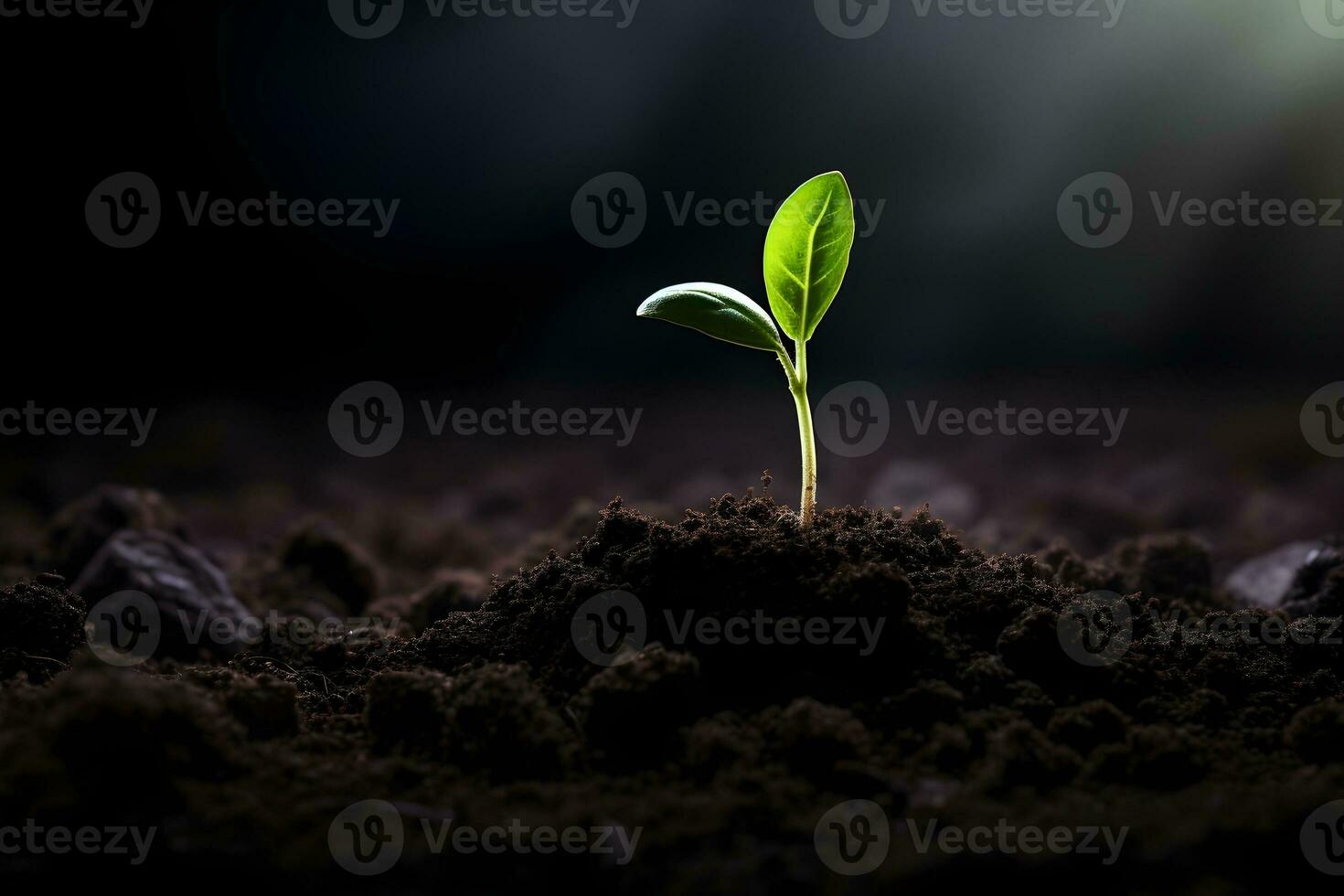 AI generated Young plant springing up out of the soil photo