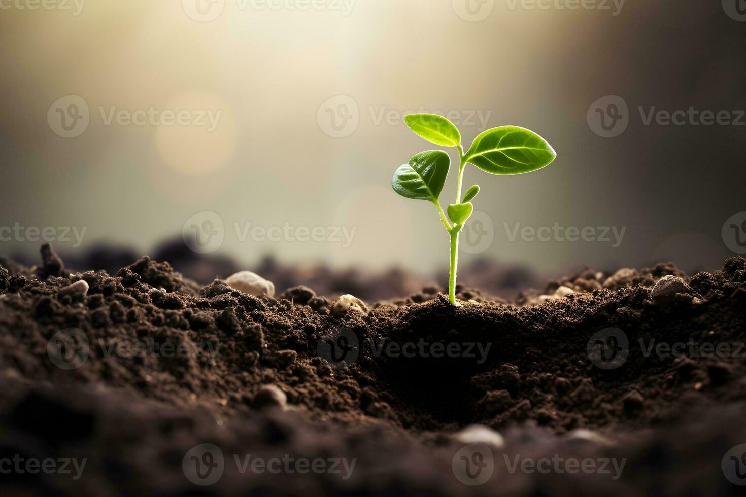 AI generated Young plant springing up out of the soil photo