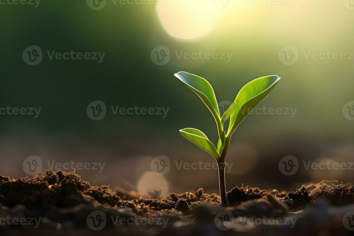 ai generado joven planta saltando arriba fuera de el suelo foto