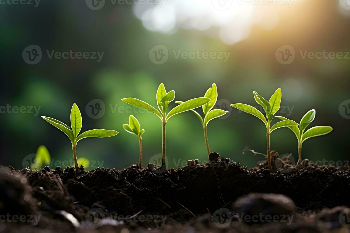 AI generated Young plant springing up out of the soil photo