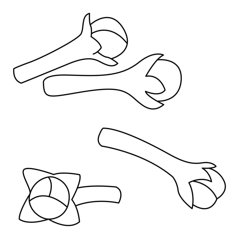 seco clavos de olor, especia desde el flor brote de syzygium aromaticum vector