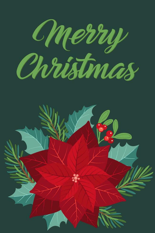Christmas greeting card with fir tree, poinsettia and holly berry. vector