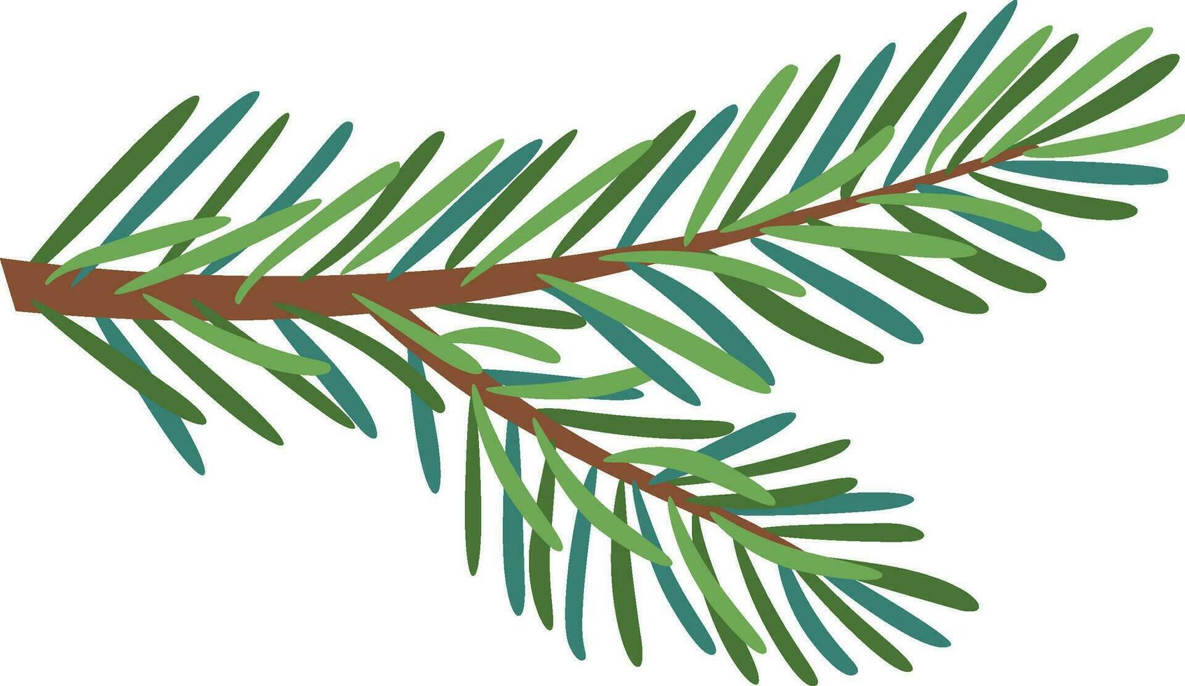 Christmas Larch, Pine, spruce branch. vector