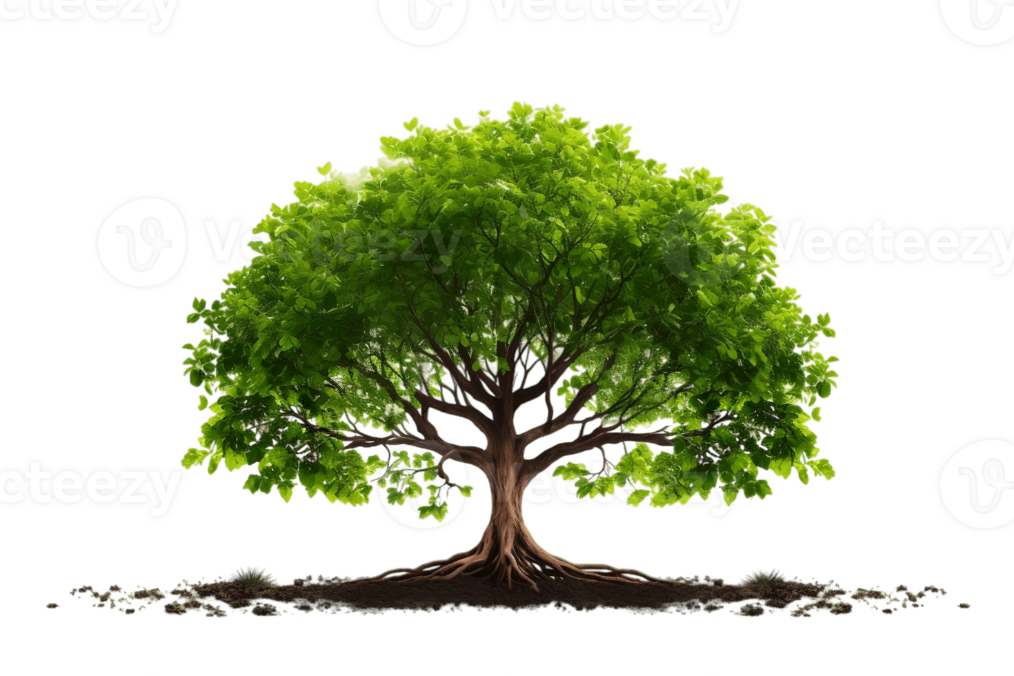 AI generated Tree with Elaborate Root System, Isolated on Transparent Background. AI png
