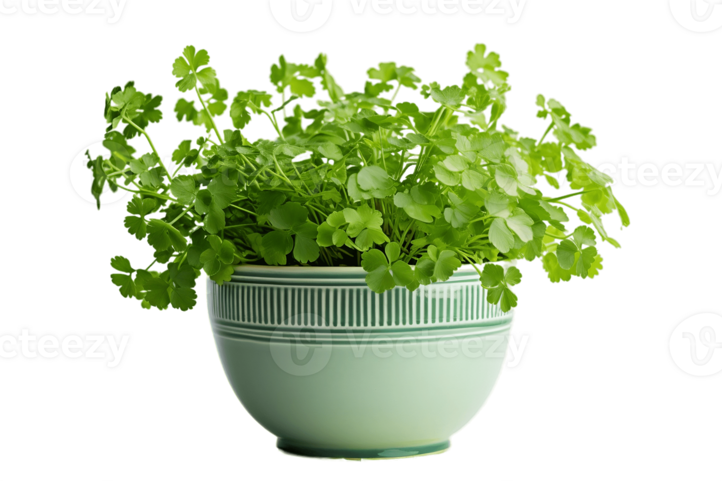 AI generated Maidenhair Fern Plant in a Pot Isolated on Transparent Background. AI png