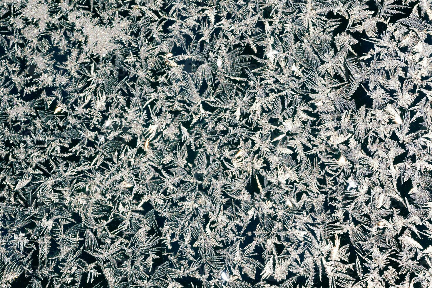 frosty patterns on the window frosty background Ice on a window photo