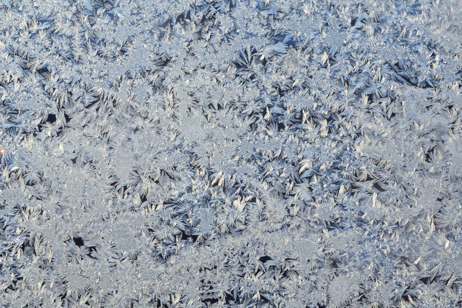 Ice on a window blue white macro frost photo