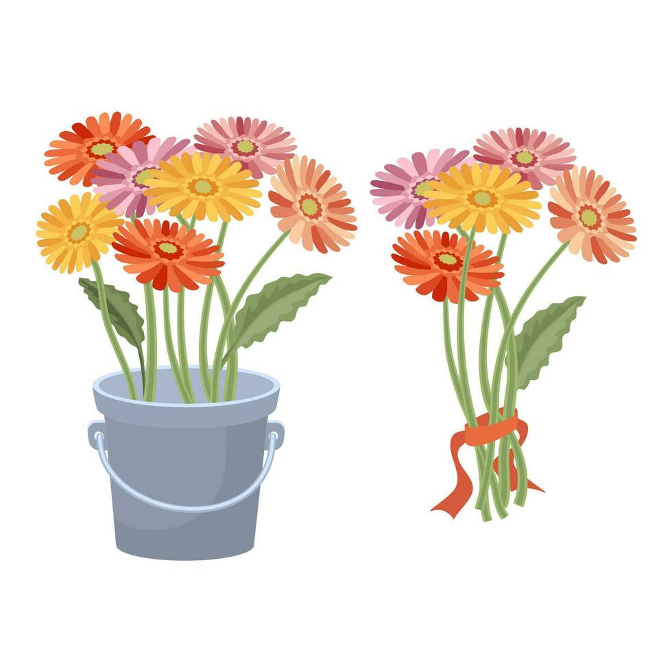 un conjunto de un ramo de flores de flores gerberas. vector ilustración.