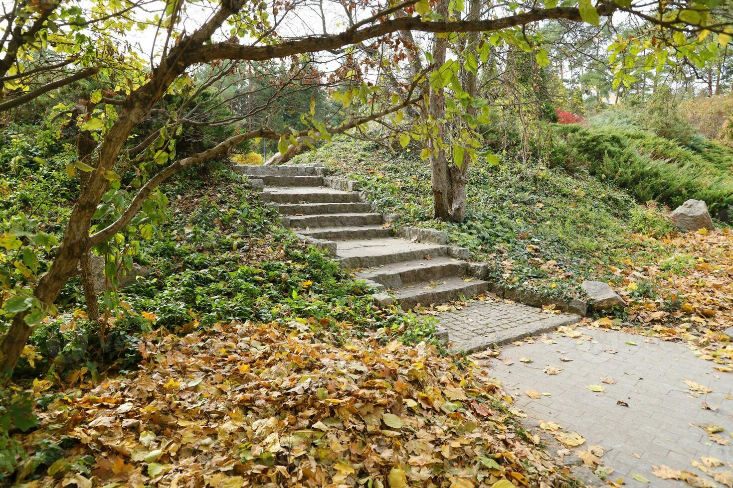 Beautiful Nature Autumn landscape. Scenery view on autumn city park with golden yellow foliage in cloudy day photo