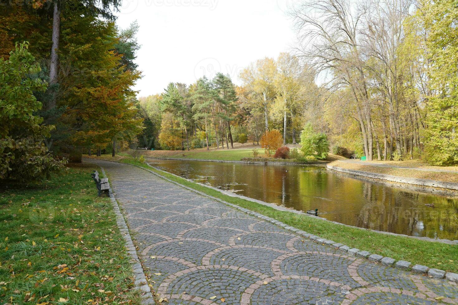 Beautiful Nature Autumn landscape with lake. Scenery view on autumn city park with golden yellow foliage in cloudy day photo