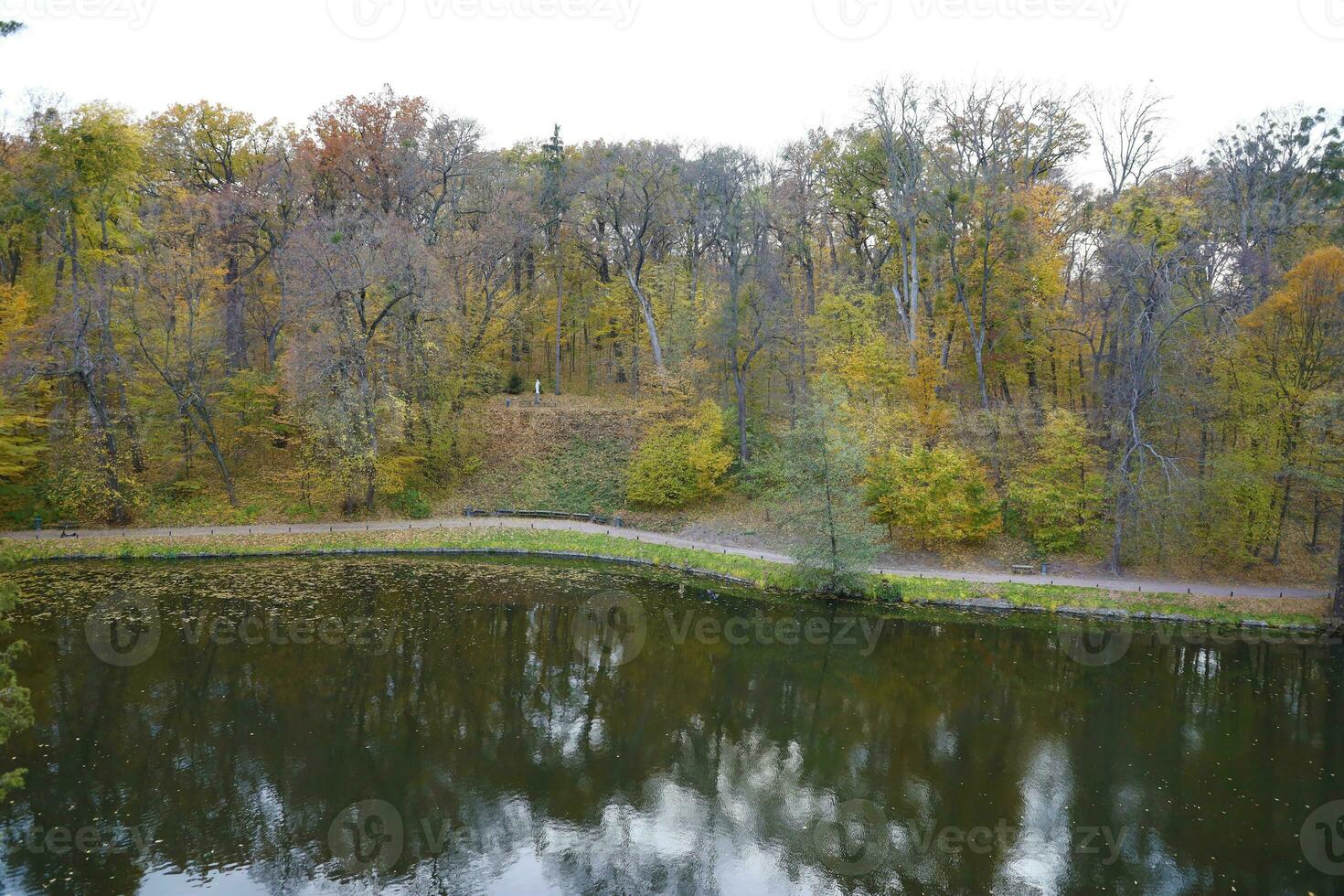 Beautiful Nature Autumn landscape with lake. Scenery view on autumn city park with golden yellow foliage in cloudy day photo